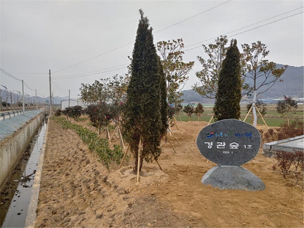 장흥군은 장흥읍 행원리 입구(행원리 517-20)에 조성된 경관 숲 1호를 기념해 22일 표지석을 설치했다고 밝혔다.