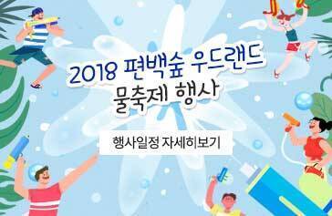 2018 편백숲 우드랜드 물축제 행사 행사일정 자세히보기