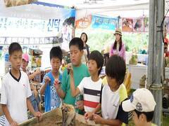 유치 반월마을 장수풍뎅이 축제 개최
