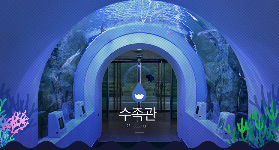 수족관 2f aquarium 동굴형 모양으로 만들어진 수족관안에 물고기들이 헤엄쳐 다니고 푸른조명으로 마치 물속에 있는 듯한 수족관의 모습