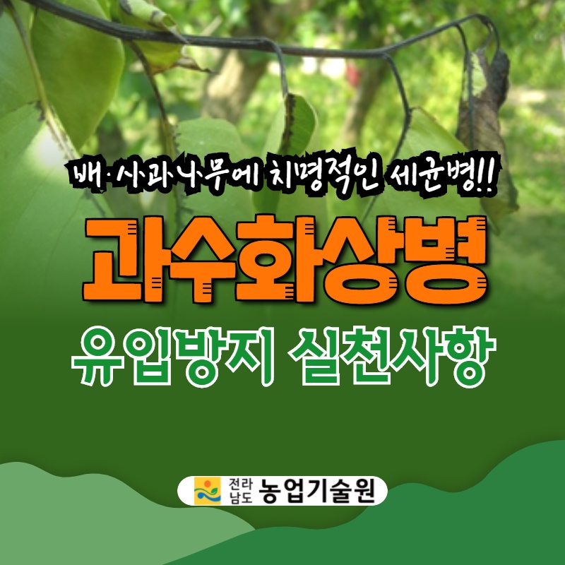 과수화상병 예방