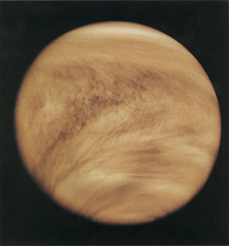 venus.jpg