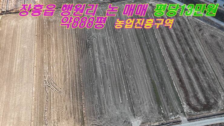 행원리