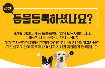 잠깐, 동물등록하셨나요? 3개월 이상의 개는 동물등록이 법적 의무사항입니다. (미등록 시 100만원 이하의 과태료) 미처 못하셨다면 자진신고기간(2019.7.1.~8.31.)을 이용하세요. 자진신고 기간에 등록과 변경신고 하시면 과태료가 면제됩니다.